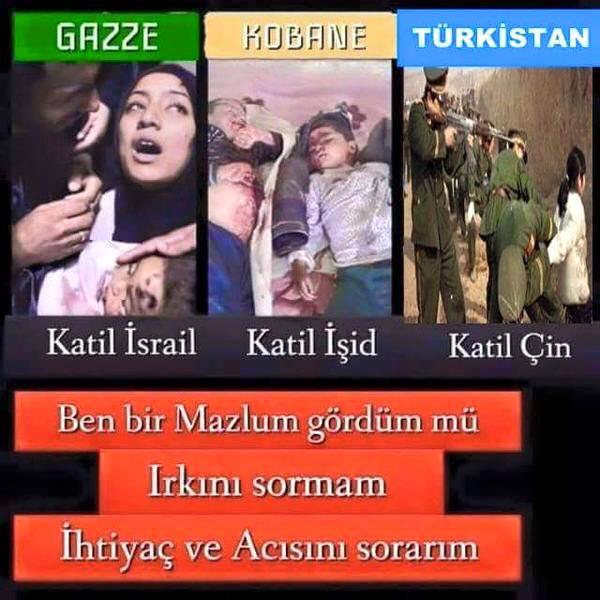 'Vatan Sağolsun' Deyince Vatan Sağ Oluyor mu? Asla!
