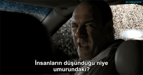 Bir Ks Canın Günlüğü