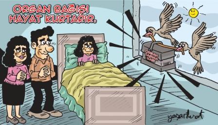 Organ Bağışı Nedir?