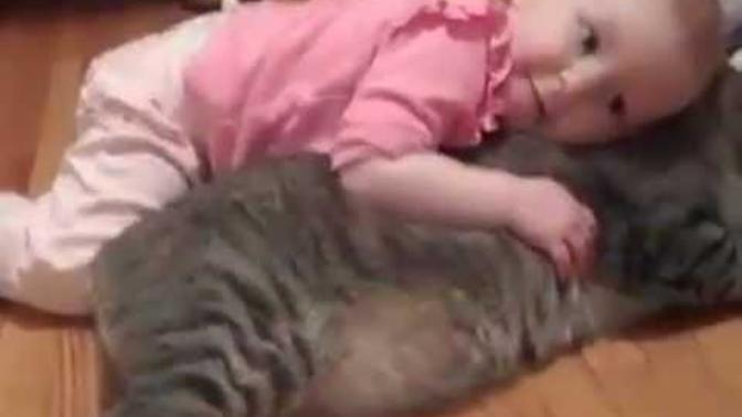 Nedir Bu Kadınların Kedi Merakı?