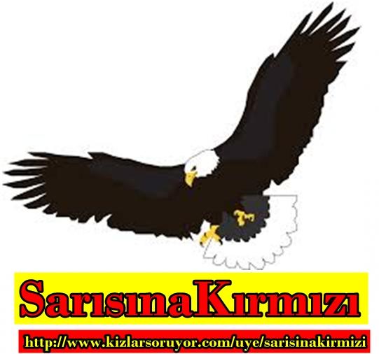 Dünya'nın En Güzel Fiziğine Sahip Kadınlar