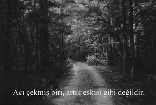 Peki Gerçek Aşk Ne?
