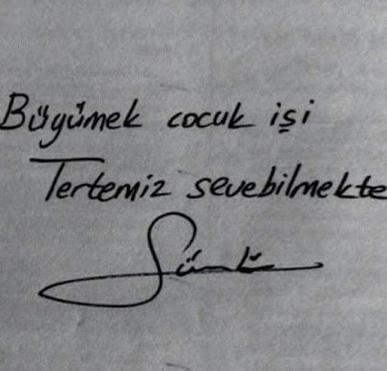 Maviyi Sevemezsin, Siyaha Aşık İken..