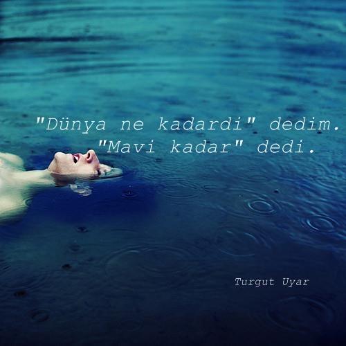Maviyi Sevemezsin, Siyaha Aşık İken..
