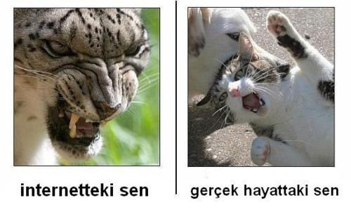 Online "Entelektüelizm"in Kirliliği Üzerine 