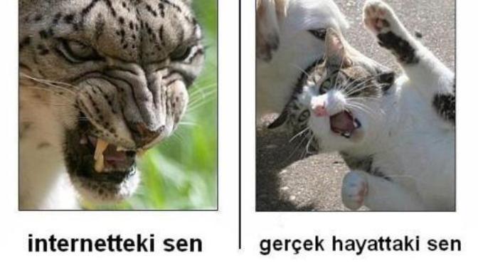 Online "Entelektüelizm"in Kirliliği Üzerine 