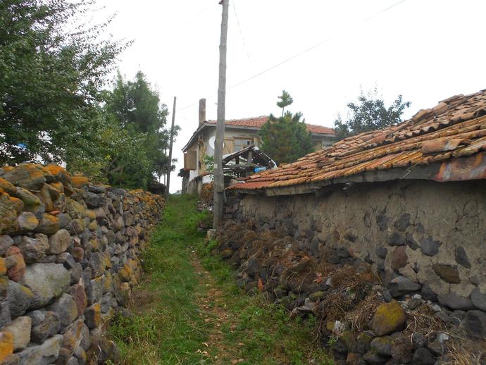 İnsan Amacı Olan Bir Varlık Olmalı ;