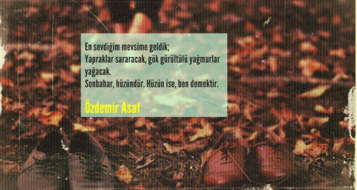 Sonbaharı Neden Seviyorum?