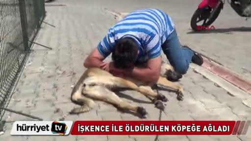 İnsanoğlunun Hayvanlarla Alıp Veremediği Nedir?