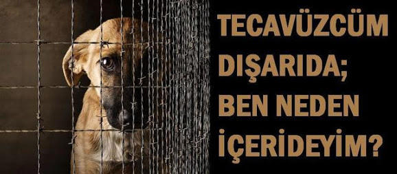 İnsanoğlunun Hayvanlarla Alıp Veremediği Nedir?