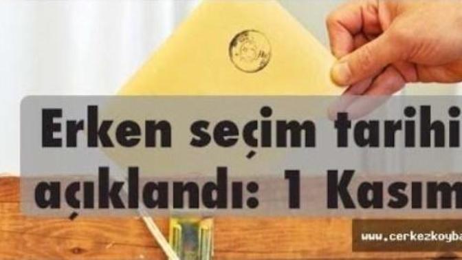 Erken seçim 1 Kasım'da! İlk Kez Oy Kullanacaklara Tavsiyeler