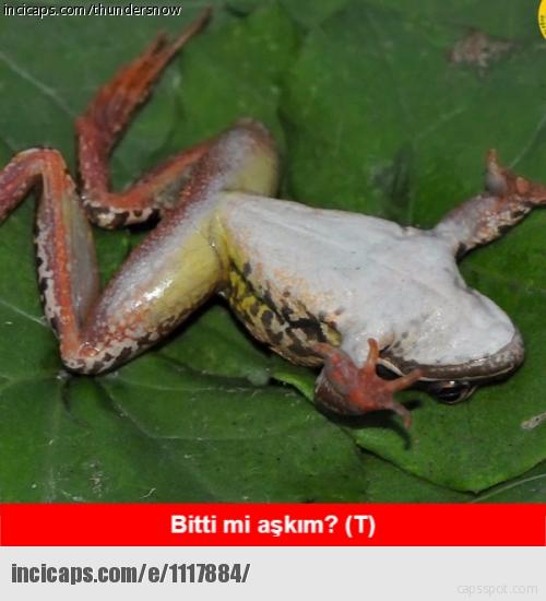Cinsellikle İlgili Tabulu Yalanlar Top 10 Caps