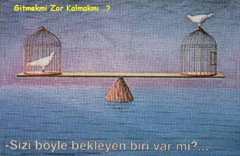 Gidene mi zor kalana mı?