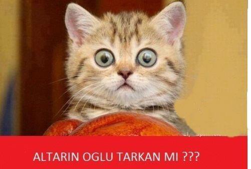 Fenomen Olmuş Öğretmenler ve Ders Çağrışımları