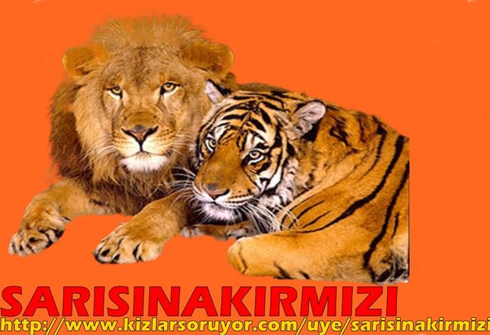 İlişkilerde Yapılan Hatalar