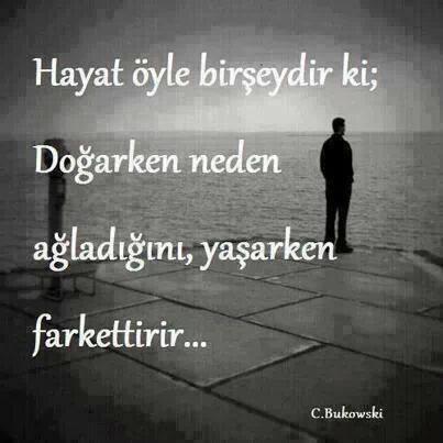 Hayat Üzerine Bir Yazı