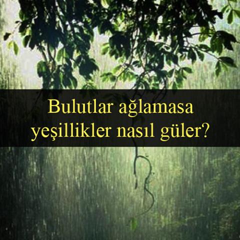 Hayat Çıkmaz Yol Değildir