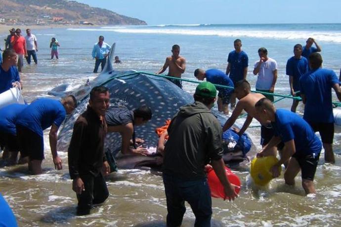 Hırpalanmış Yerlerinden Öperim Çocuk