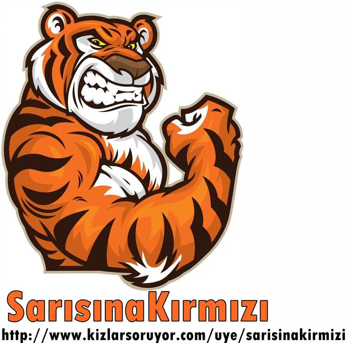 Türkiye, Siber Öğrenciler Yetiştirmeye Başladı
