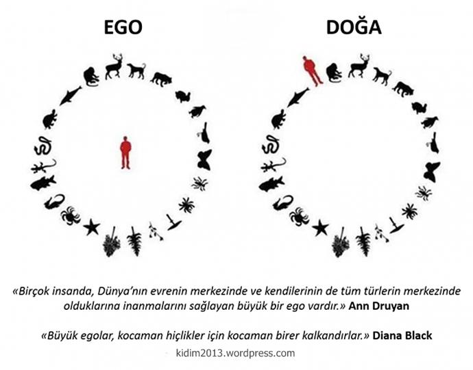 Siz Bir Hayvansınız