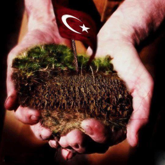 Sizce Gerçekten Şehitleri Kimse Önemsiyor mu