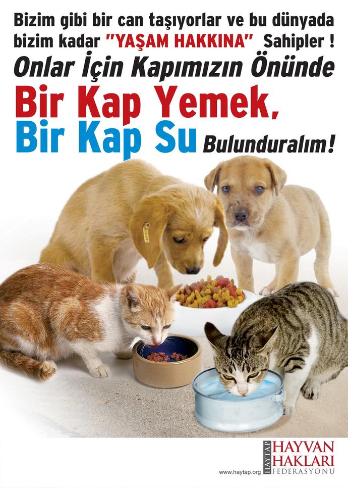 Günümüzün Tartışılması Gereken Konusu: Hayvan Deneyleri