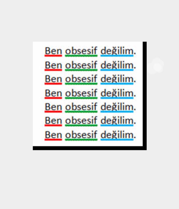 Bir Obsesifin Hikayesi