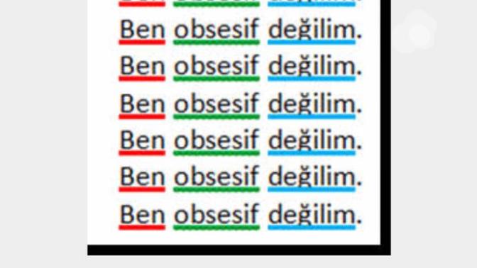 Bir Obsesifin Hikayesi