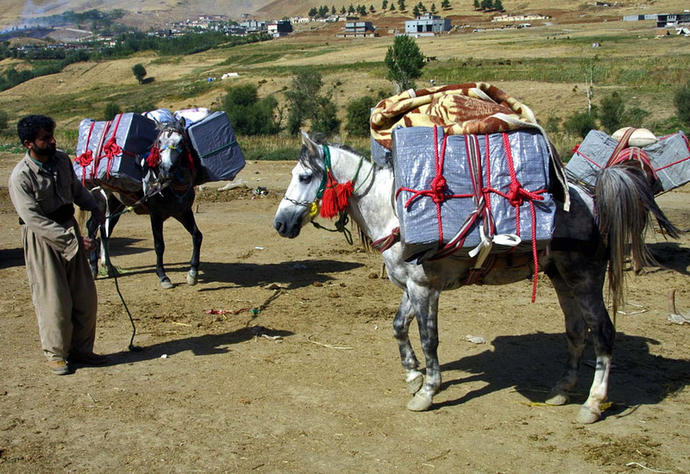Şehitlerimiz Var! Çok Kişinin Zoruna Gidecek Şeyler Yazıyorum!