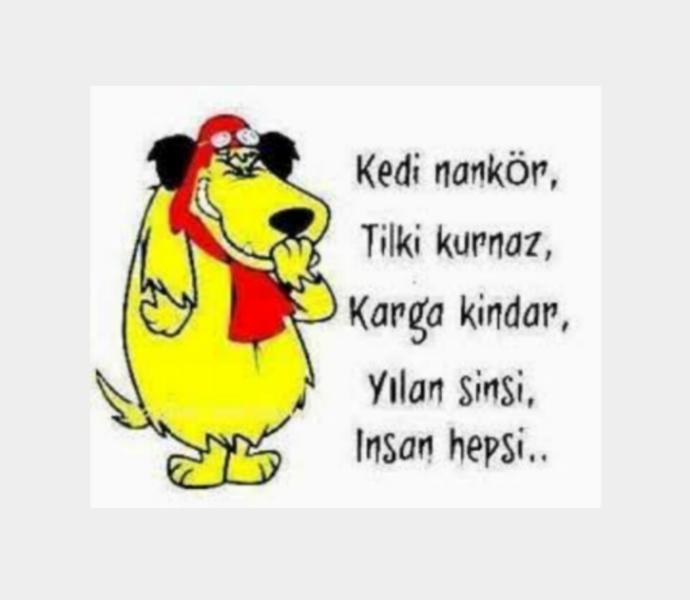 Genelde çok sevdiğimiz, bağlandığımız şeyler ne nankör!