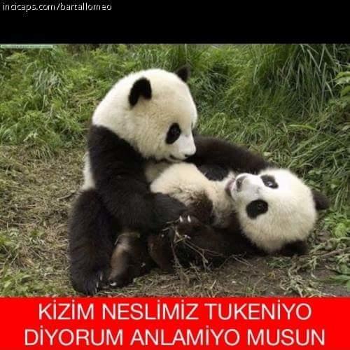 Genelde Çok Sevdiğimiz, Bağlandığımız Şeyler ve Nankörlükleri!