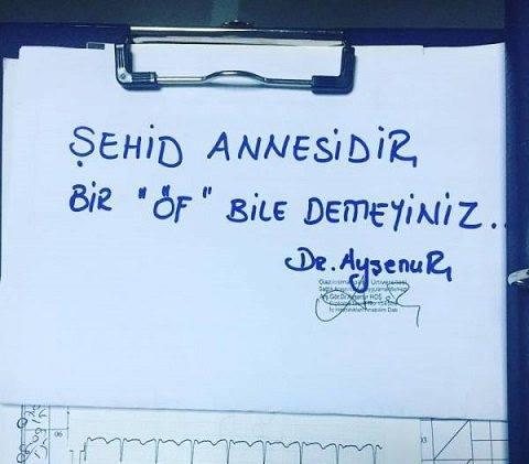 Şehit Annesidir Bir