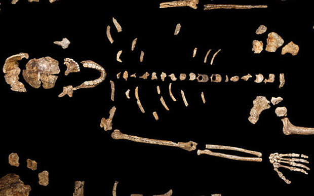 İnsanın Yeni Atası: Homo Naledi