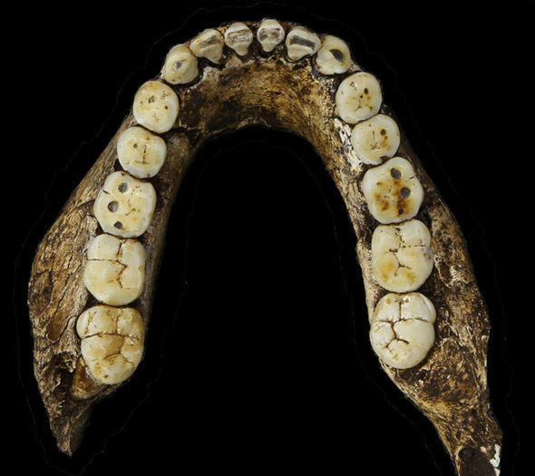 İnsanın Yeni Atası: Homo Naledi
