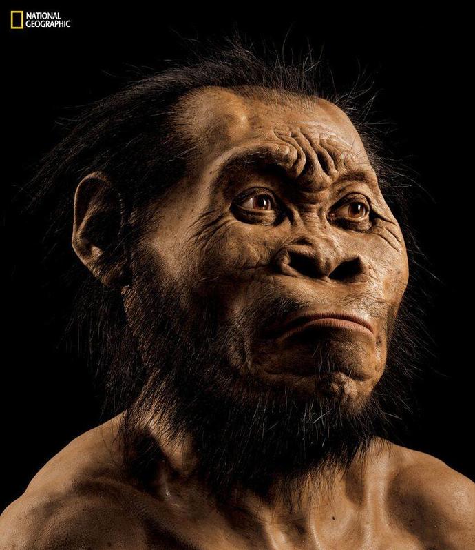 İnsanın Yeni Atası: Homo Naledi