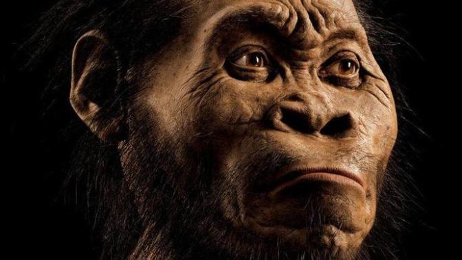 İnsanın Yeni Atası: Homo Naledi