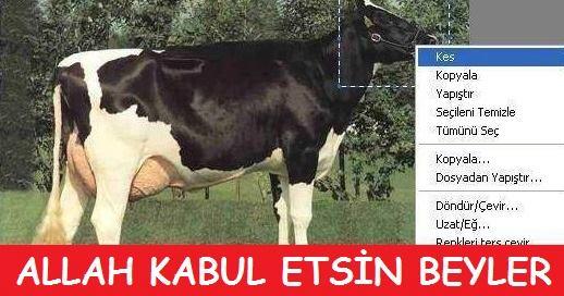 Kurban olurum seni Yaradana ..kurban olursun sende bana..