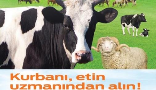 Tam Anlamı ile Kurban Bayramı