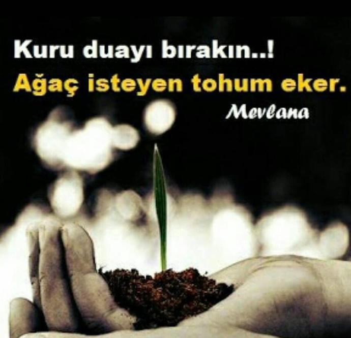 Mezuna Kalmak