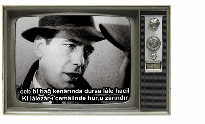 Türk Erkeğinin, Güzel Bir Kadın Gördüğünde Verdiği Tepkiler