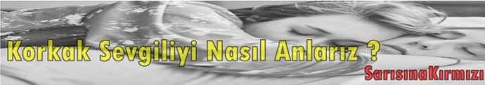 Korkak Sevgiliyi Nasıl Anlarız?