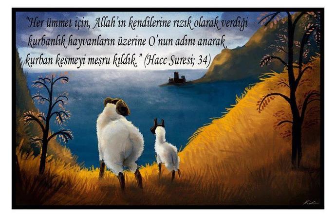 İslam Dini İlimlerinden Kurban