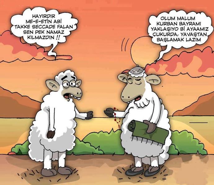 Kurban bayramı...