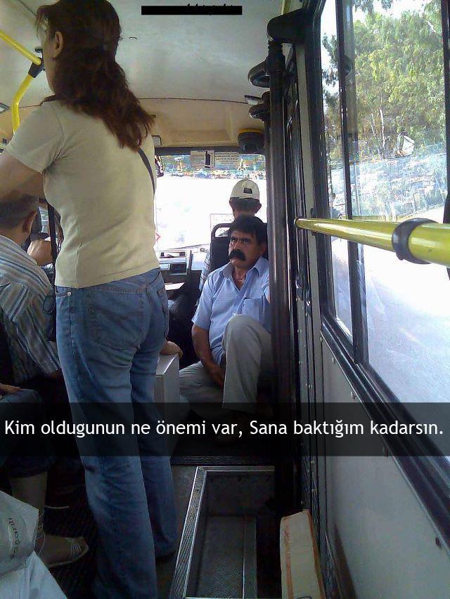 Sitemizdeki Abaza Türleri ve Onlara Karşı Önlemler