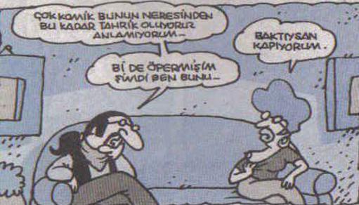 Sitemizdeki Abaza Türleri ve Onlara Karşı Önlemler