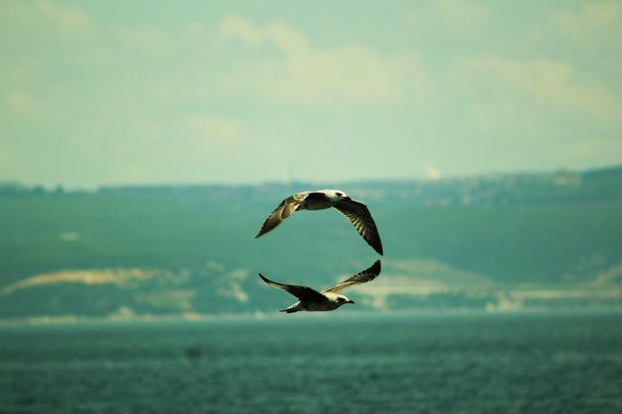 Fotoğraflar ve Birçok Şeyler Üzerine