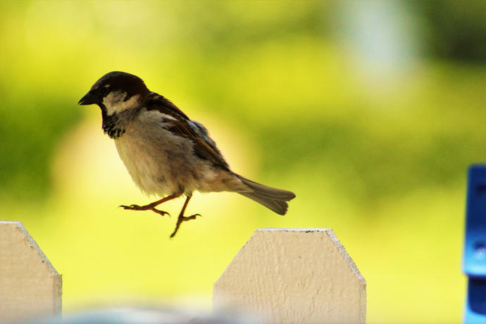 Fotoğraflar ve Birçok Şeyler Üzerine