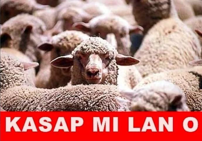 Her Kurban Bayramı'nda Tekrar Tekrar Yaşanan Sahneler