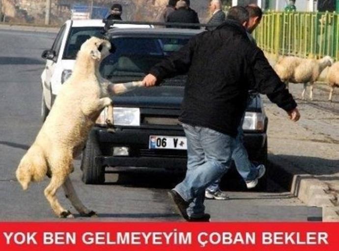 Her Kurban Bayramı'nda Tekrar Tekrar Yaşanan Sahneler