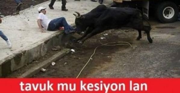 Her Kurban Bayramı'nda Tekrar Tekrar Yaşanan Sahneler